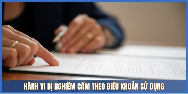 Điều khoản sử dụng 3 Hành vi bị nghiêm cấm theo Điều khoản sử dụng