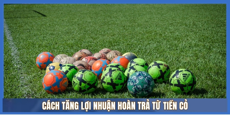 Cách tăng lợi nhuận hoàn trả từ Tiền cỏ
