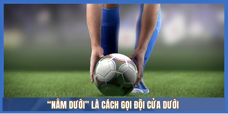 Từ điển thuật ngữ cá độ bóng đá A–Z – Tổng hợp nhanh, chính xác 2 “Nằm dưới” là cách gọi đội cửa dưới