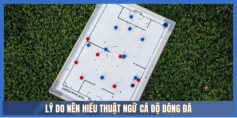 Từ điển thuật ngữ cá độ bóng đá A–Z – Tổng hợp nhanh, chính xác 1 LÝ do nên hiểu thuật ngữ cá độ bóng đá